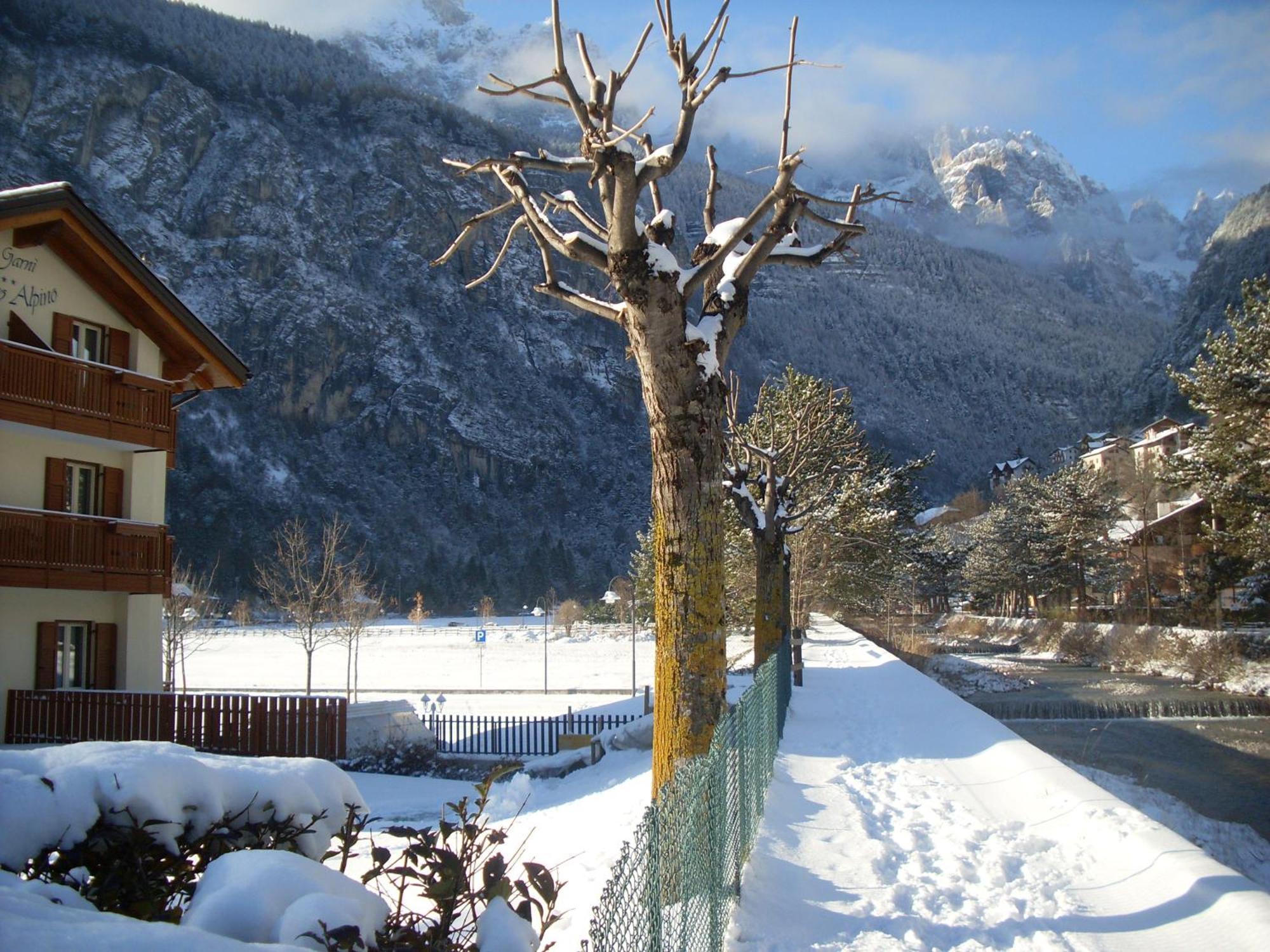 Garni Lago Alpino Molveno Exterior foto